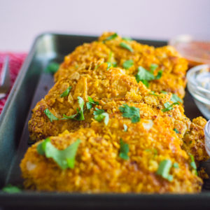 Up close shot of tortilla crusted chicken