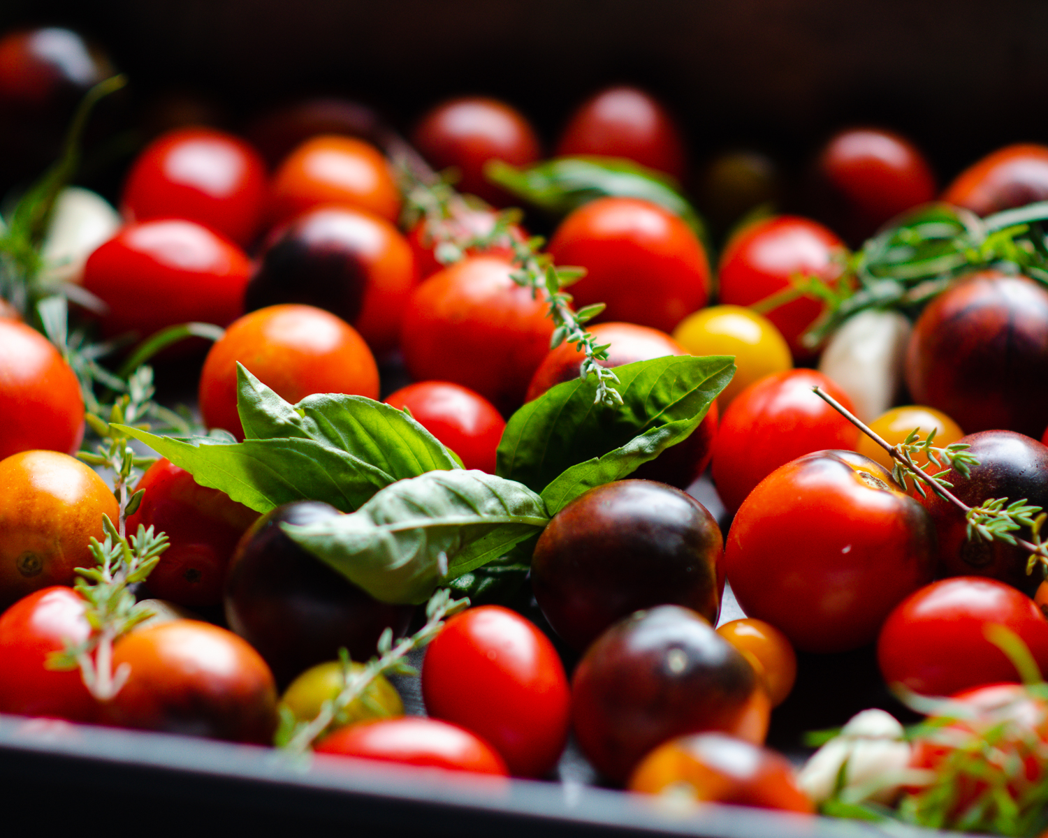 Pan with tomatoes, herbs and garlic. 