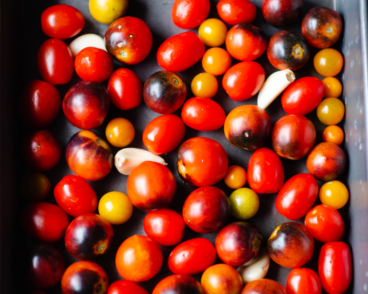 Pan with cherry tomatoes and garlic cloves between the tomatoes. 