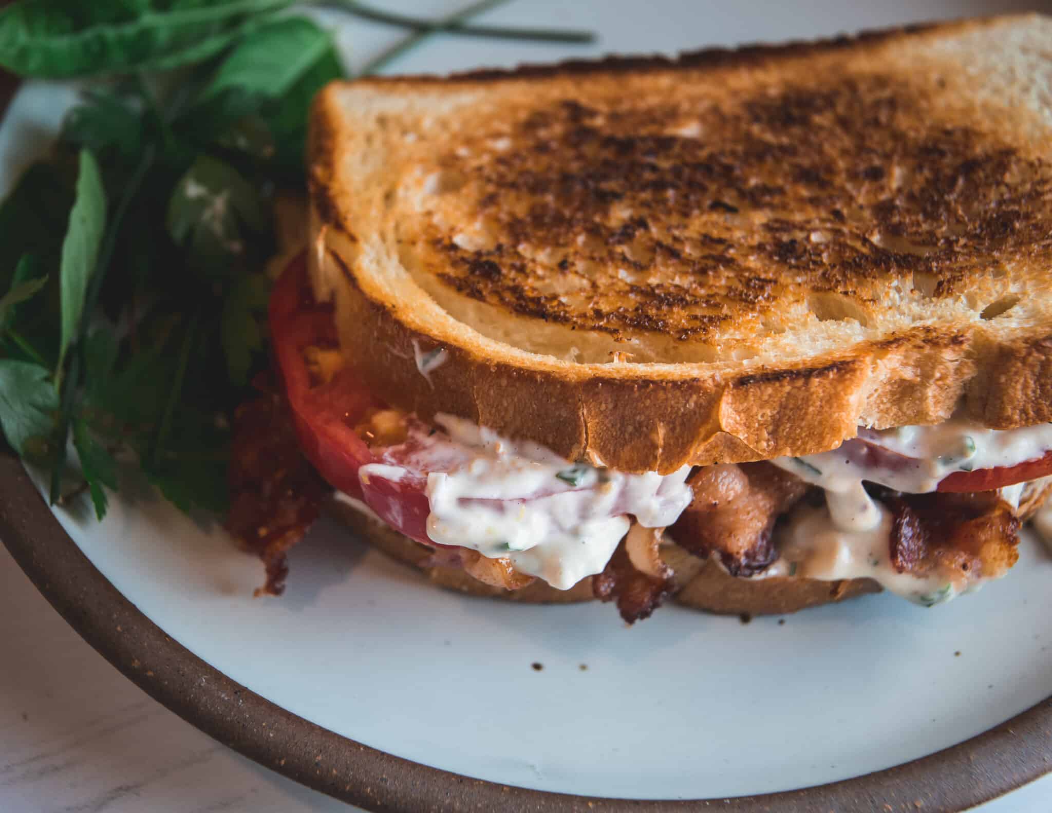tomatoes, bacon and aioli sandwiched between toasted bread on a plate