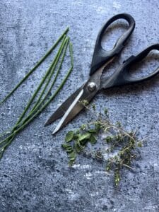 kitchen shears with fresh thyme sprigs, chives, and oregano.